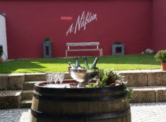 Moderierte Weinprobe