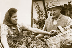 Familie Weinhaus Nüßlein